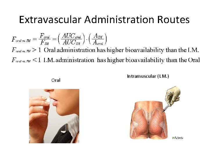 Extravascular Administration Routes Oral Intramuscular (I. M. ) 