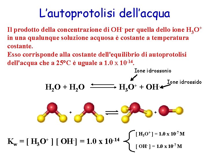 L’autoprotolisi dell’acqua Il prodotto della concentrazione di OH- per quella dello ione H 3