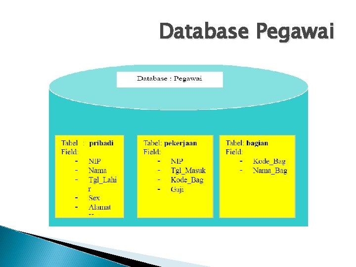 Database Pegawai 