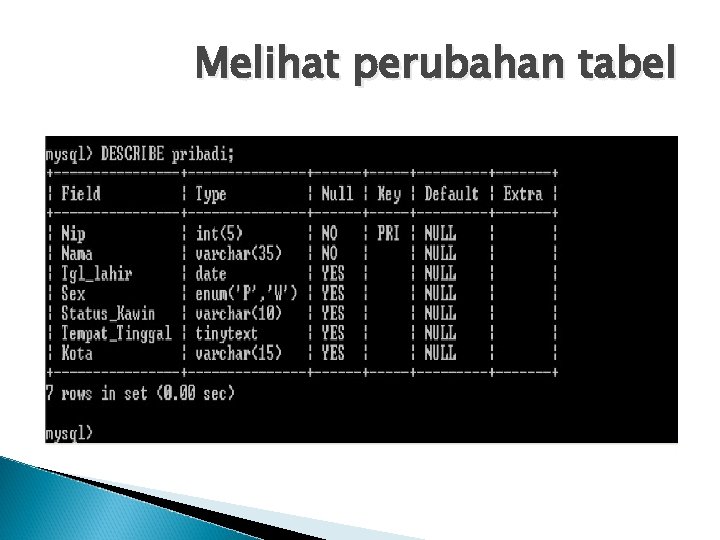 Melihat perubahan tabel 