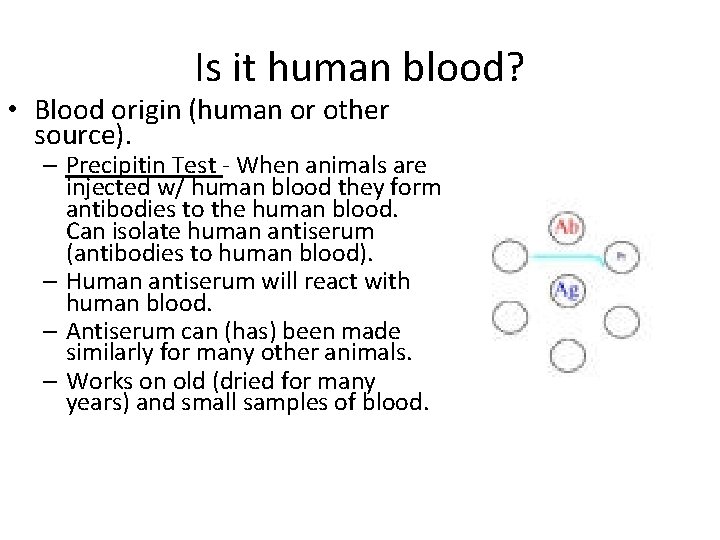 Is it human blood? • Blood origin (human or other source). – Precipitin Test