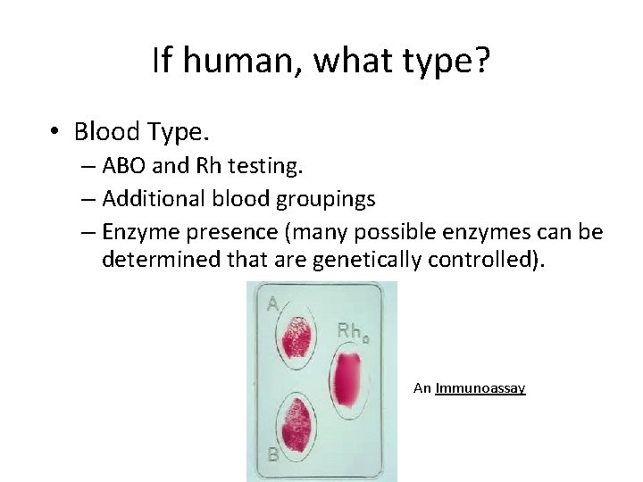 If human, what type? • Blood Type. – ABO and Rh testing. – Additional
