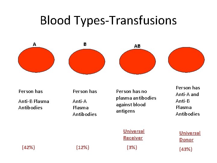 Blood Types-Transfusions A B AB Person has Anti-B Plasma Antibodies Anti-A Plasma Antibodies Person