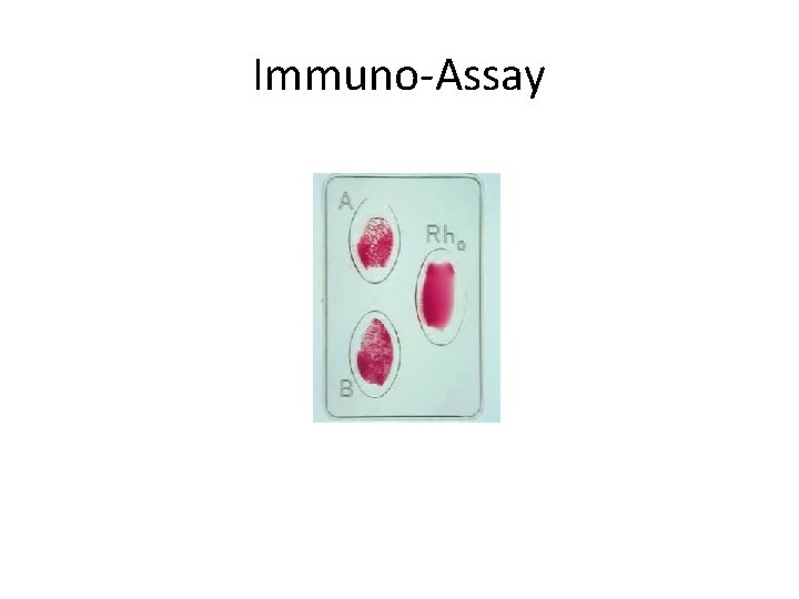 Immuno-Assay 