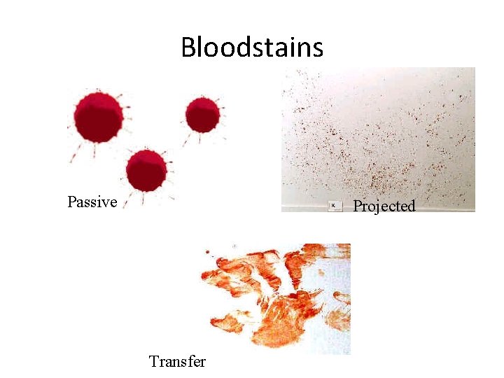 Bloodstains Passive Projected Transfer 