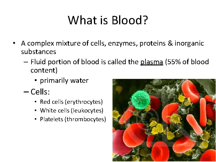 What is Blood? • A complex mixture of cells, enzymes, proteins & inorganic substances