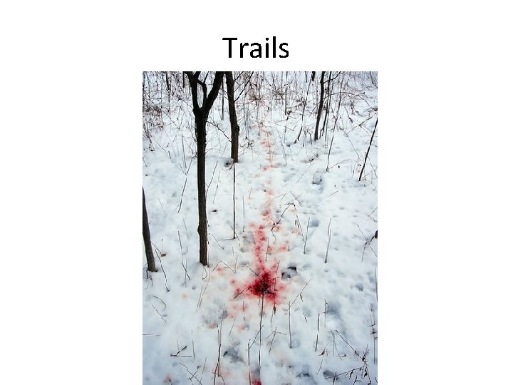 Trails 