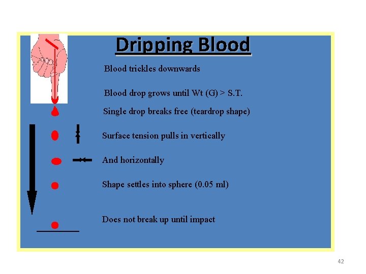 Dripping Blood trickles downwards Blood drop grows until Wt (G) > S. T. Single