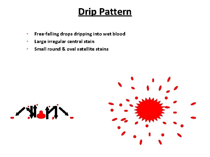 Drip Pattern • • • Free-falling drops dripping into wet blood Large irregular central