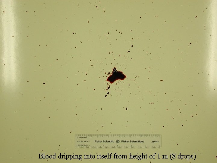 Drip 1: Blood dripping into itself from height of 1 m (8 drops) 