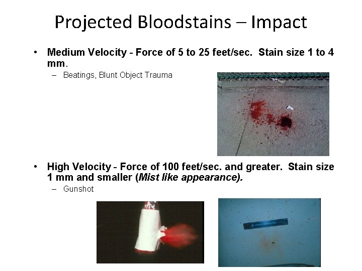 Projected Bloodstains – Impact • Medium Velocity - Force of 5 to 25 feet/sec.