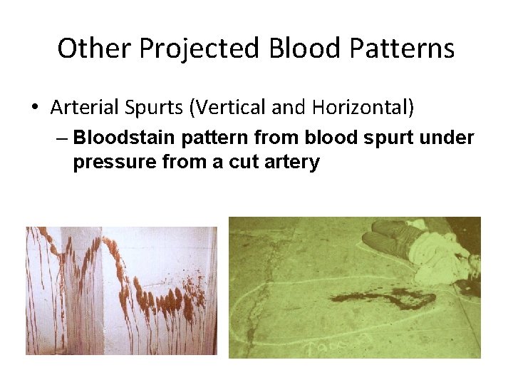 Other Projected Blood Patterns • Arterial Spurts (Vertical and Horizontal) – Bloodstain pattern from