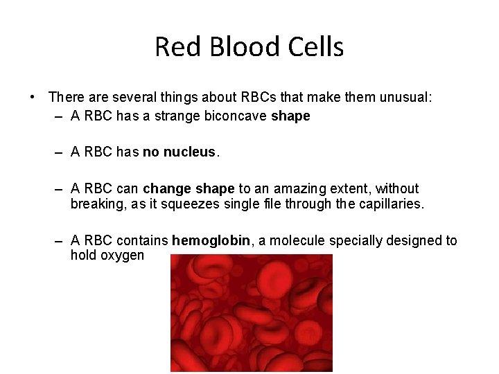 Red Blood Cells • There are several things about RBCs that make them unusual: