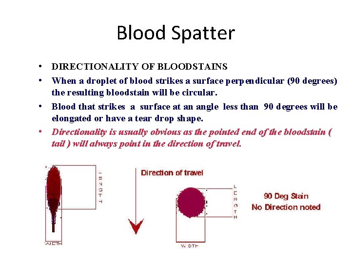 Blood Spatter • DIRECTIONALITY OF BLOODSTAINS • When a droplet of blood strikes a