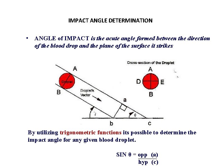 IMPACT ANGLE DETERMINATION • ANGLE of IMPACT is the acute angle formed between the