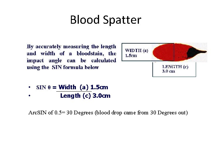 Blood Spatter • SIN θ = Width (a) 1. 5 cm • Length (c)