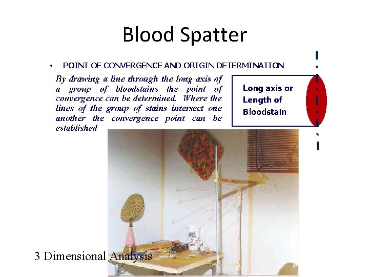 Blood Spatter • POINT OF CONVERGENCE AND ORIGIN DETERMINATION 3 Dimensional Analysis 