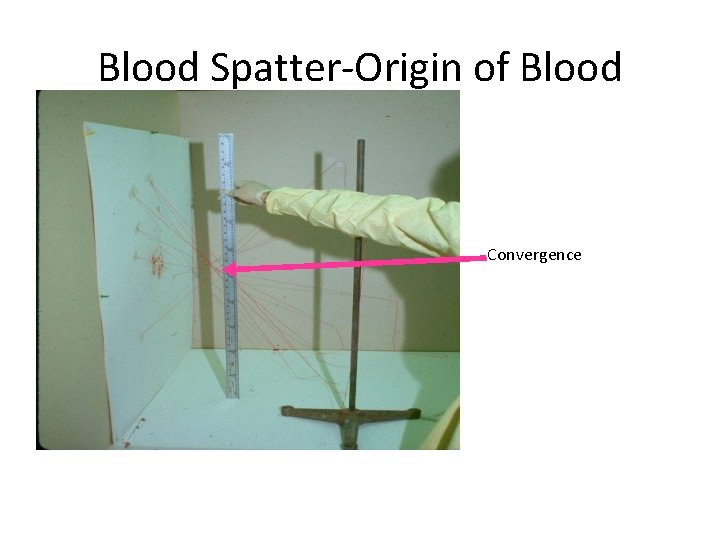 Blood Spatter-Origin of Blood Convergence 