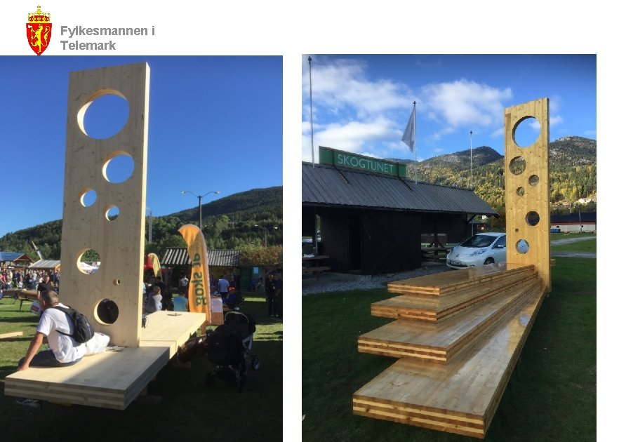 Fylkesmannen i Telemark 12 