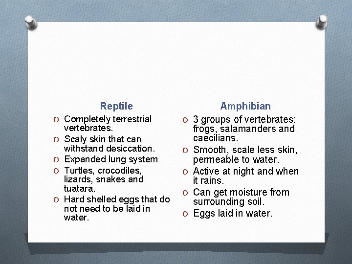 Reptile O Completely terrestrial O O vertebrates. Scaly skin that can withstand desiccation. Expanded