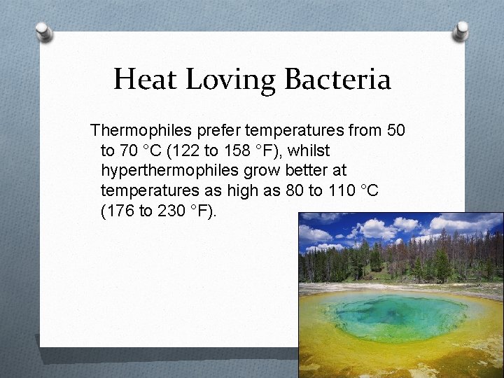 Heat Loving Bacteria Thermophiles prefer temperatures from 50 to 70 °C (122 to 158