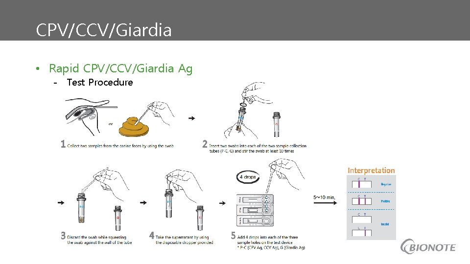 CPV/CCV/Giardia • Rapid CPV/CCV/Giardia Ag - Test Procedure 