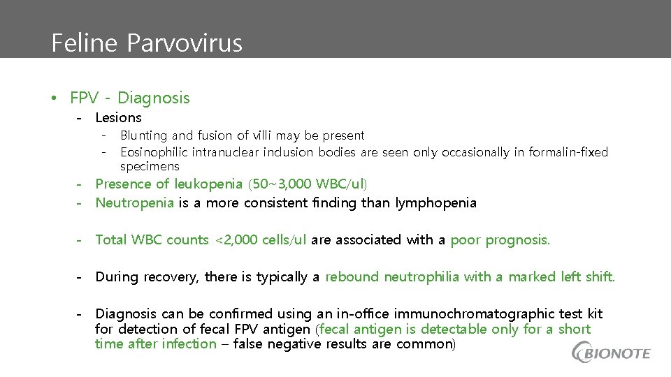 Feline Parvovirus • FPV - Diagnosis - Lesions - Blunting and fusion of villi