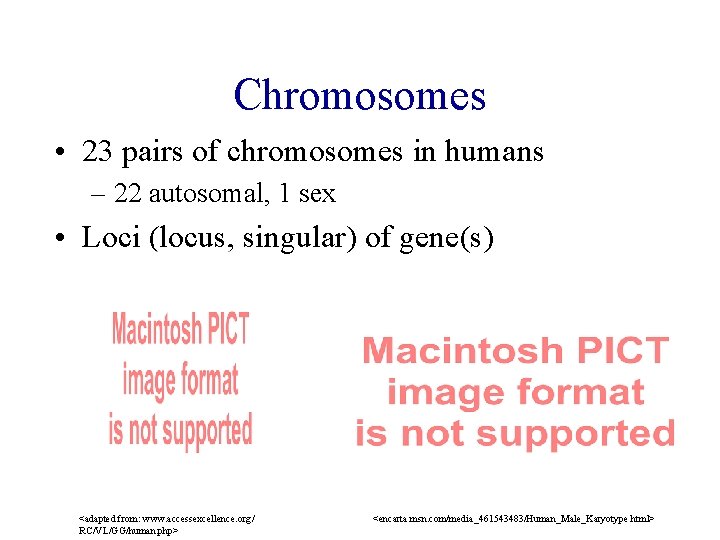 Chromosomes • 23 pairs of chromosomes in humans – 22 autosomal, 1 sex •