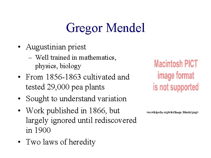 Gregor Mendel • Augustinian priest – Well trained in mathematics, physics, biology • From