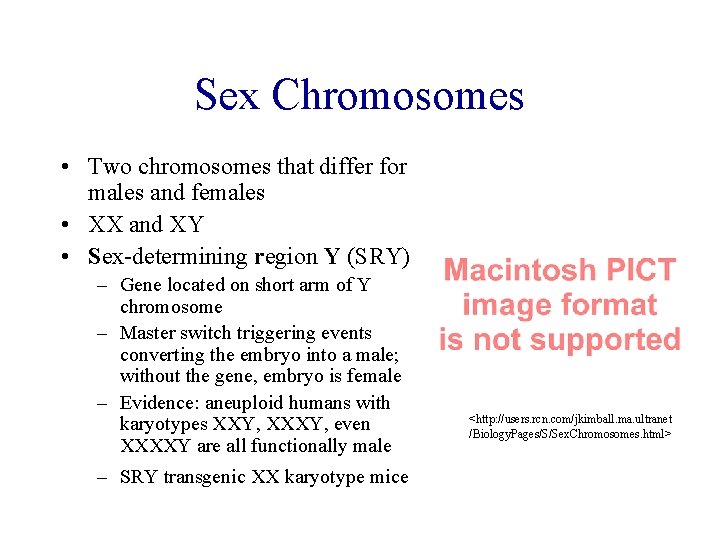 Sex Chromosomes • Two chromosomes that differ for males and females • XX and