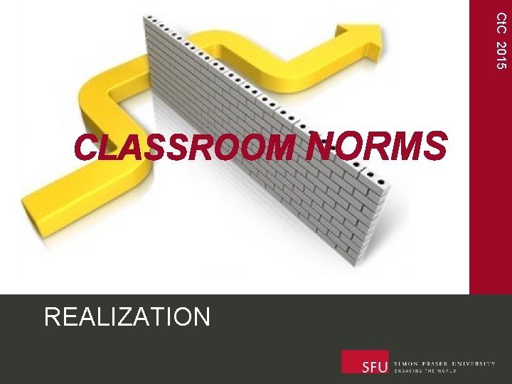 Ct. C 2015 CLASSROOM NORMS REALIZATION 