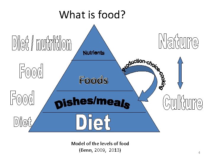 What is food? Foods Model of the levels of food (Benn, 2009, 2013) 4