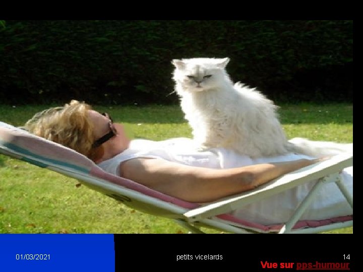 01/03/2021 petits vicelards 14 Vue sur pps-humour 