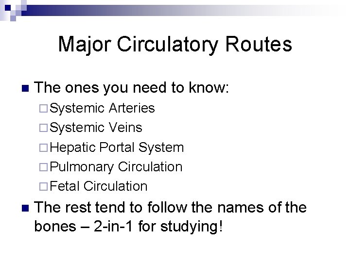 Major Circulatory Routes n The ones you need to know: ¨ Systemic Arteries ¨