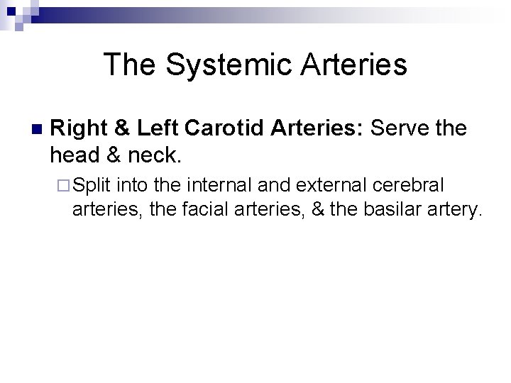 The Systemic Arteries n Right & Left Carotid Arteries: Serve the head & neck.