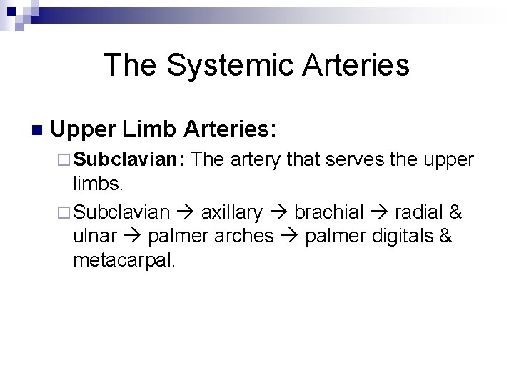 The Systemic Arteries n Upper Limb Arteries: ¨ Subclavian: The artery that serves the