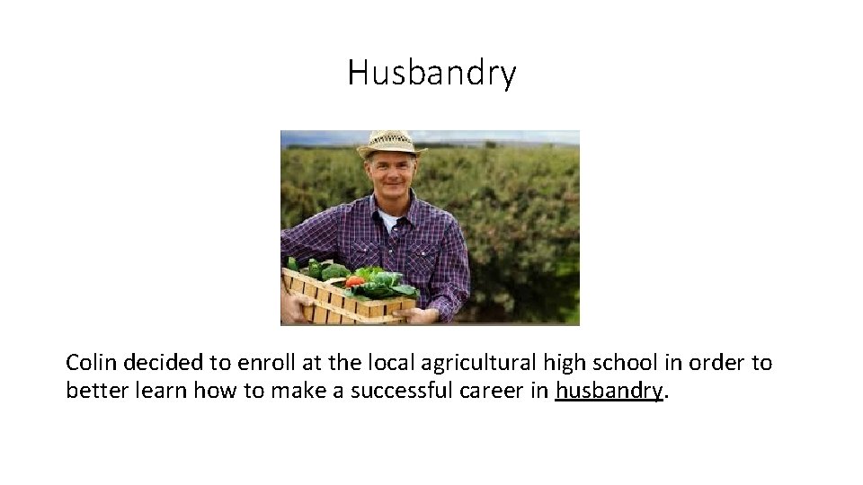 Husbandry Colin decided to enroll at the local agricultural high school in order to