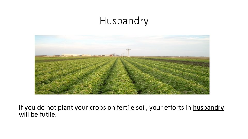 Husbandry If you do not plant your crops on fertile soil, your efforts in