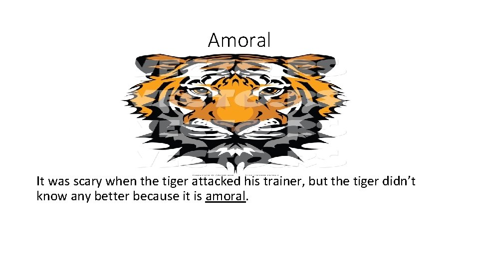 Amoral It was scary when the tiger attacked his trainer, but the tiger didn’t