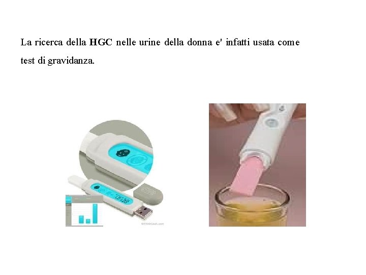 La ricerca della HGC nelle urine della donna e' infatti usata come test di