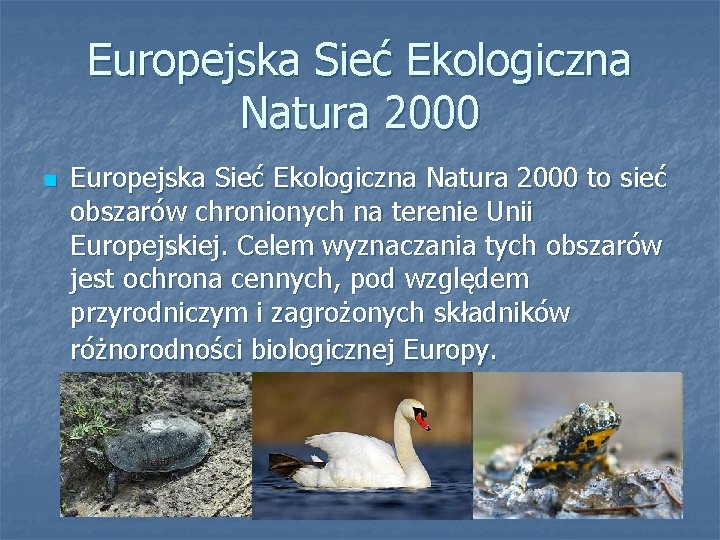 Europejska Sieć Ekologiczna Natura 2000 n Europejska Sieć Ekologiczna Natura 2000 to sieć obszarów