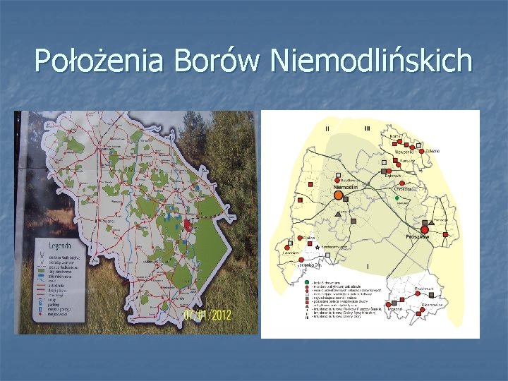 Położenia Borów Niemodlińskich 