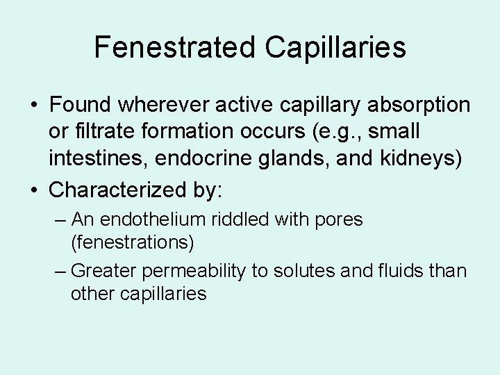 Fenestrated Capillaries • Found wherever active capillary absorption or filtrate formation occurs (e. g.