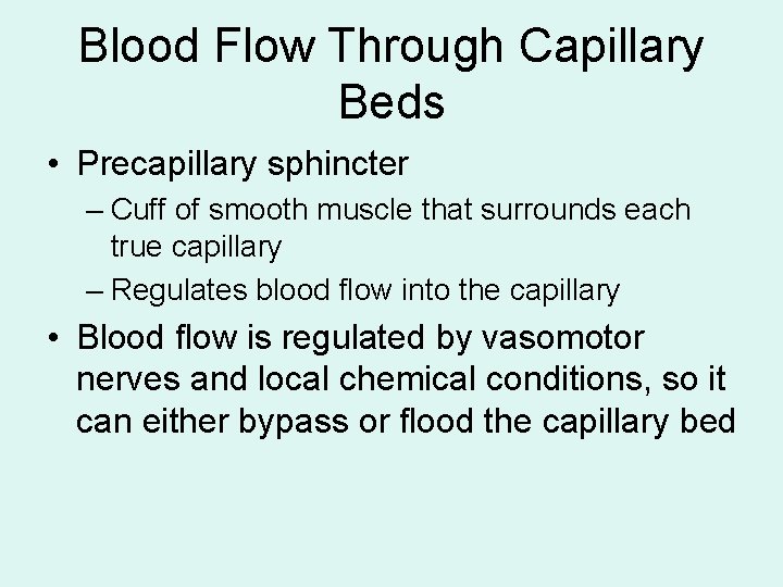 Blood Flow Through Capillary Beds • Precapillary sphincter – Cuff of smooth muscle that