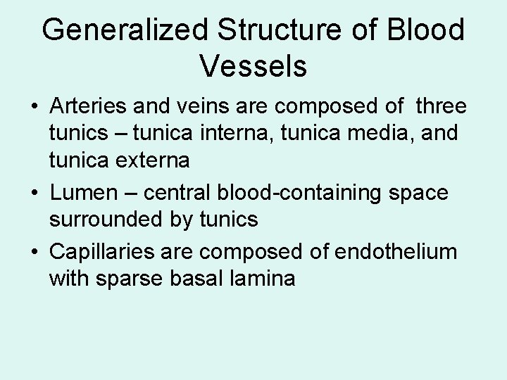 Generalized Structure of Blood Vessels • Arteries and veins are composed of three tunics