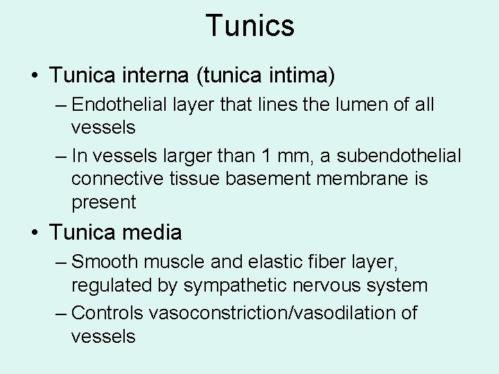Tunics • Tunica interna (tunica intima) – Endothelial layer that lines the lumen of
