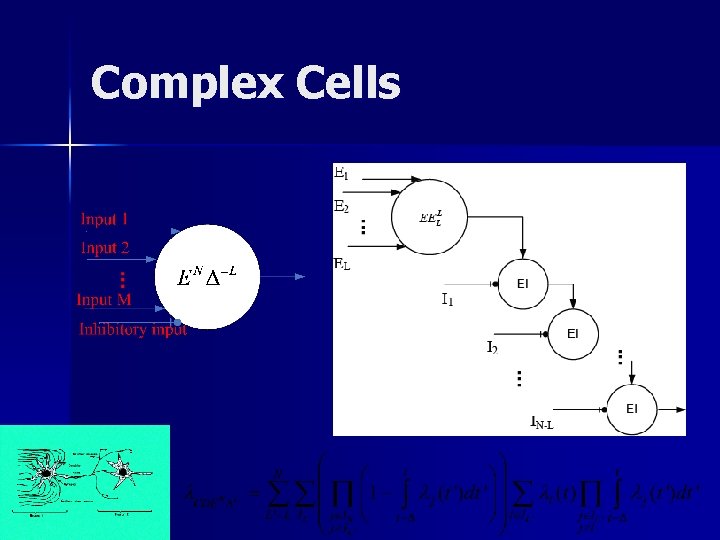 Complex Cells 