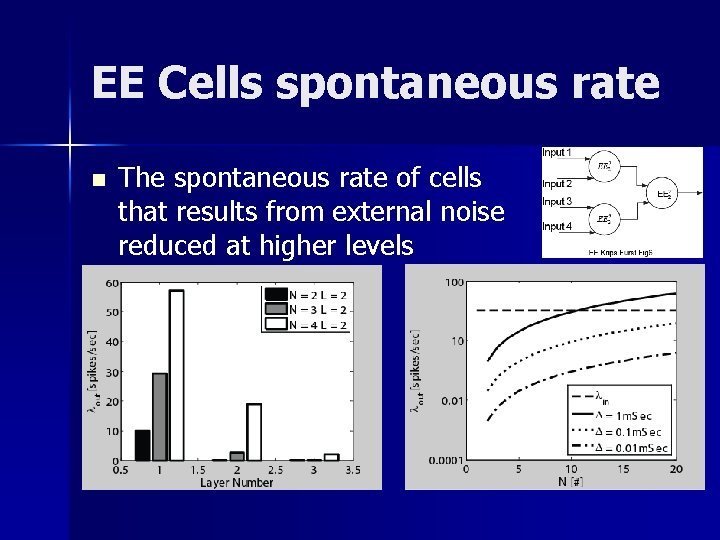 EE Cells spontaneous rate n The spontaneous rate of cells that results from external