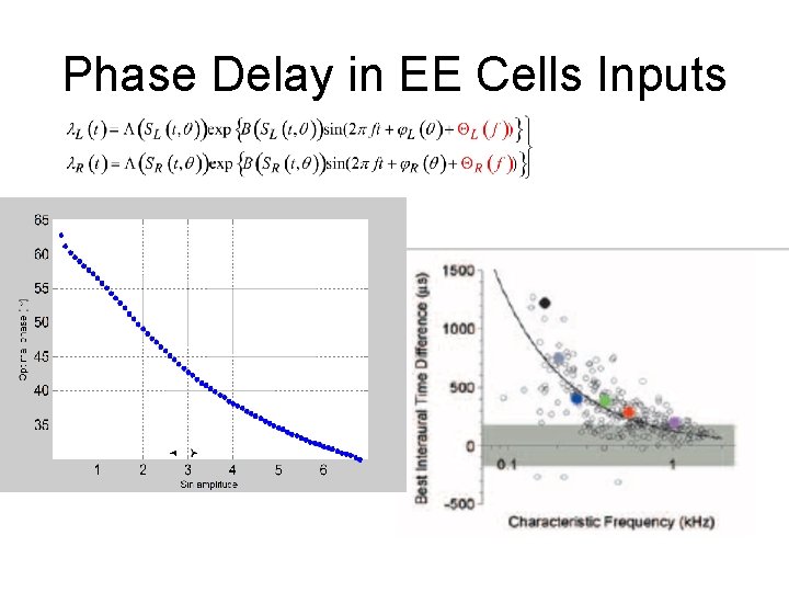 Phase Delay in EE Cells Inputs 