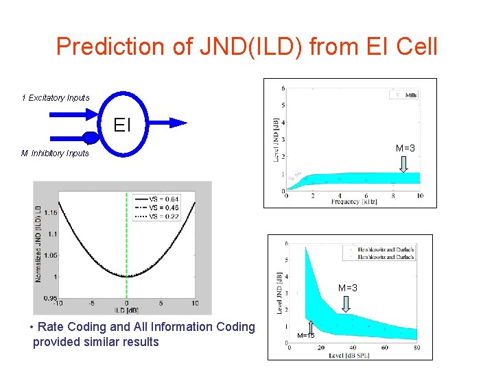 Prediction of JND(ILD) from EI Cell 1 Excitatory Inputs E E EI M=3 M